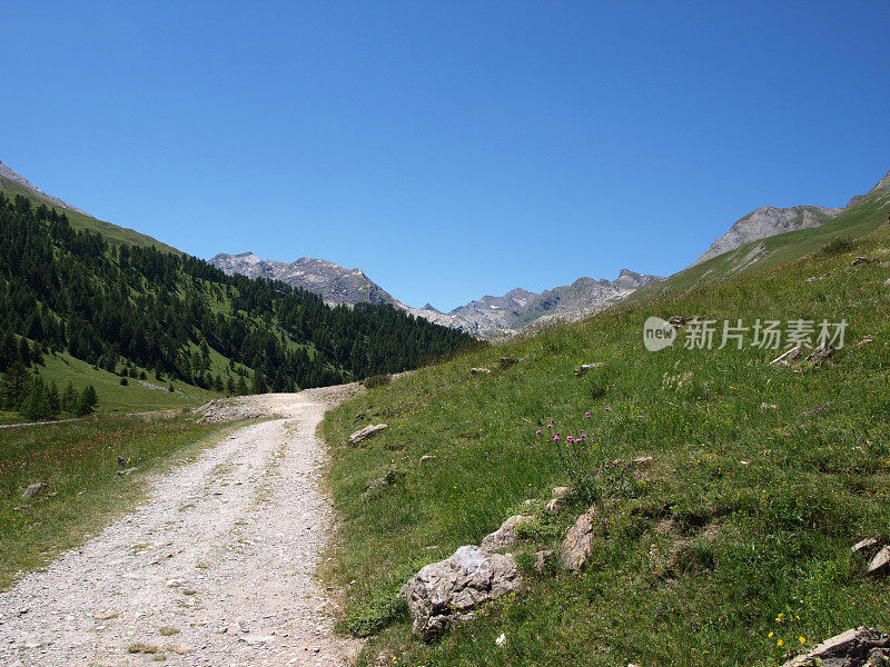 夏季在 Col de Larche 附近的阿尔卑斯山 Mercantour